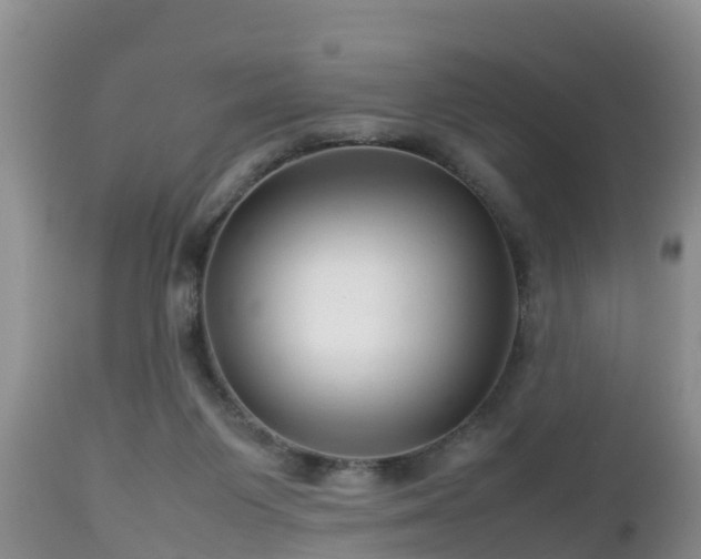 X0000112810119200908281516
