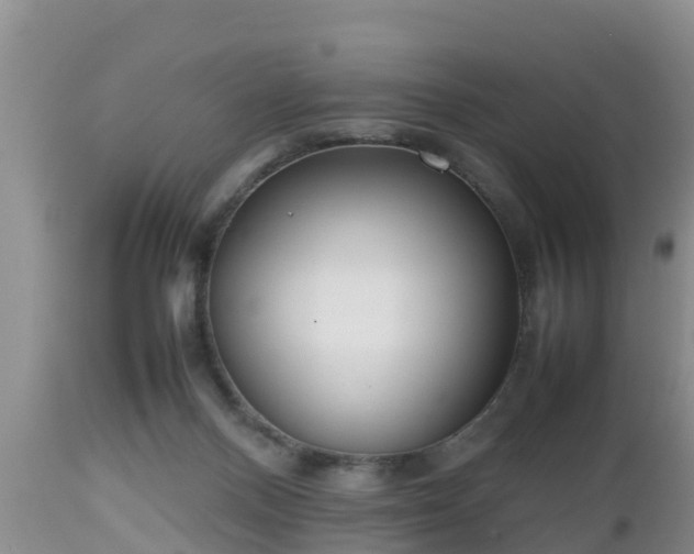 X0000112810120200908281516