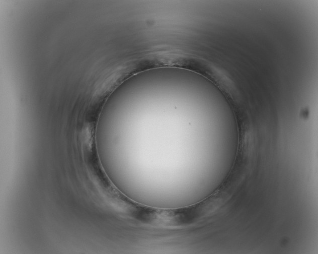 X0000112810121200908281516