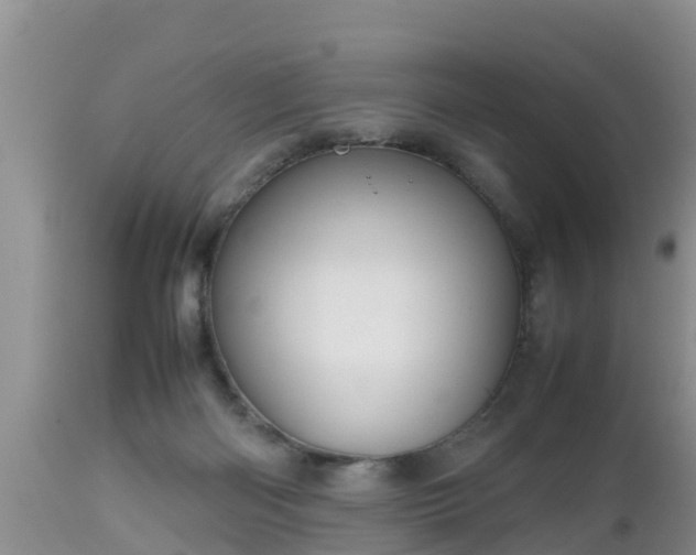 X0000112810122200908281516