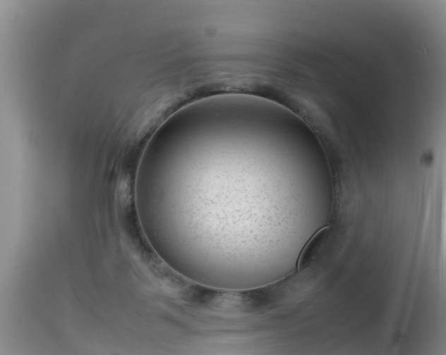 X0000112810123200908281516