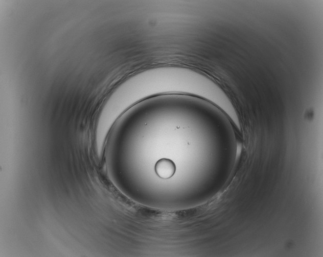 X0000112810124200908281516
