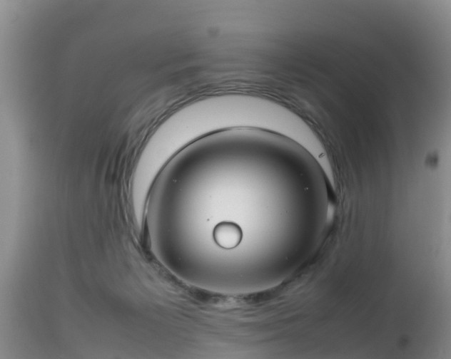 X0000112810125200908281516