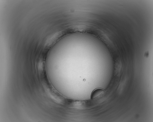 X0000112810126200908281516