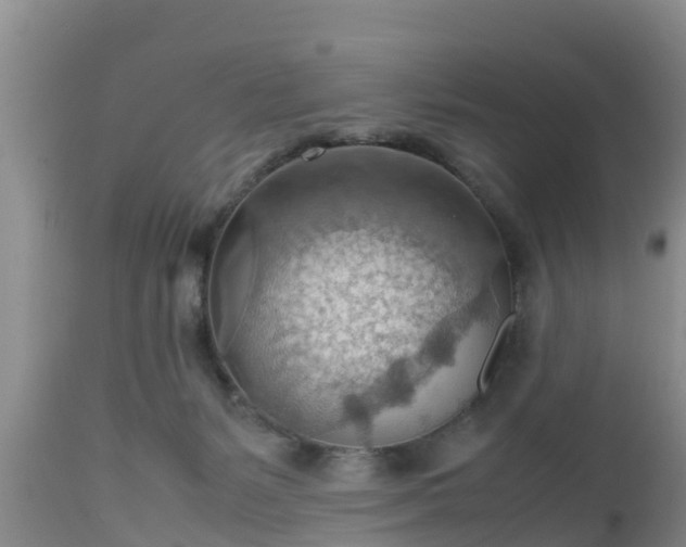 X0000112810127200908281516