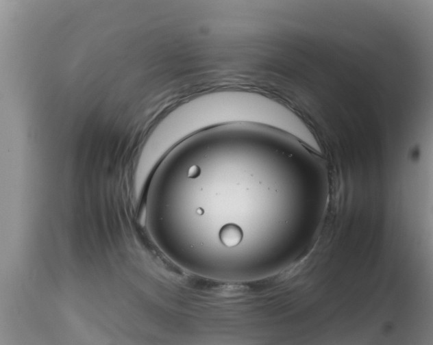 X0000112810128200908281516