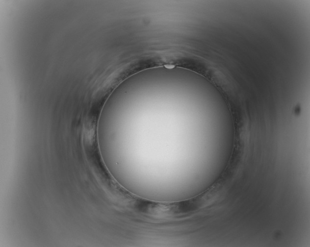 X0000112810129200908281516