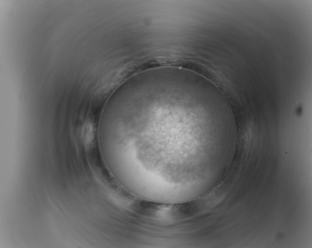 X0000112810130200908281516