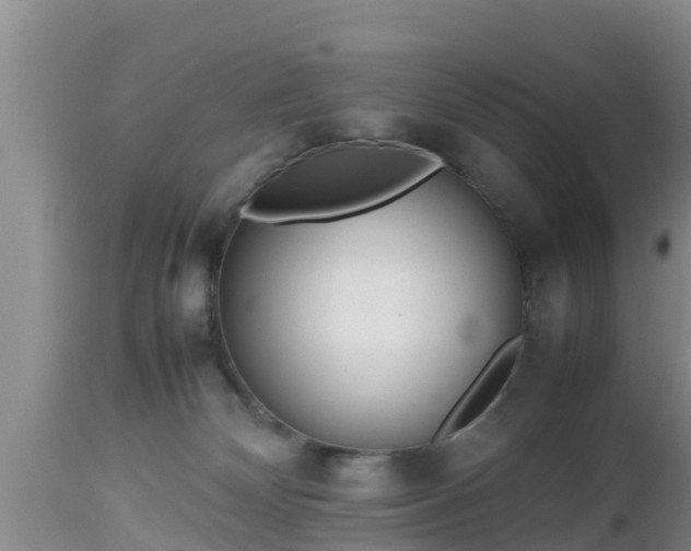 X0000112810132200908281516