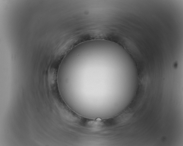 X0000112810133200908281516