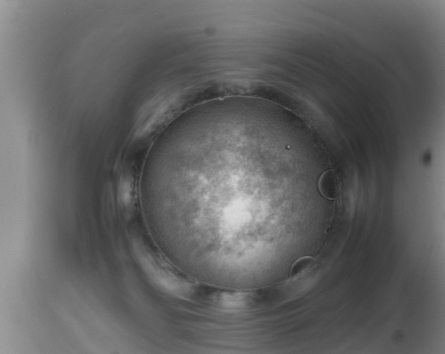X0000112810134200908281516