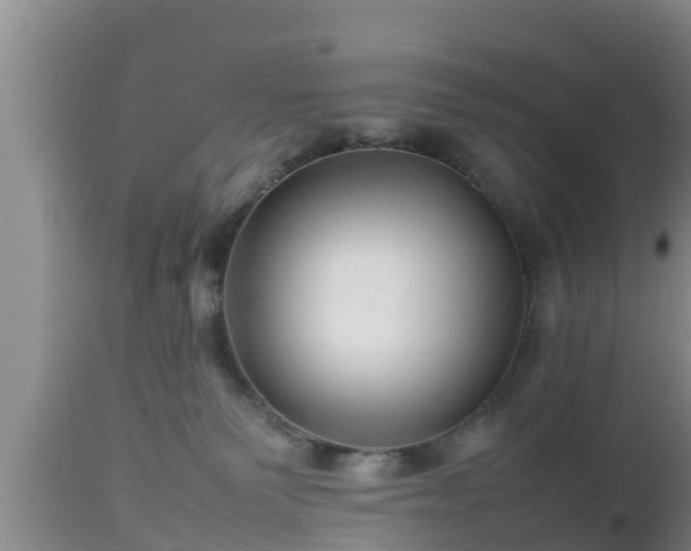 X0000112810135200908281516