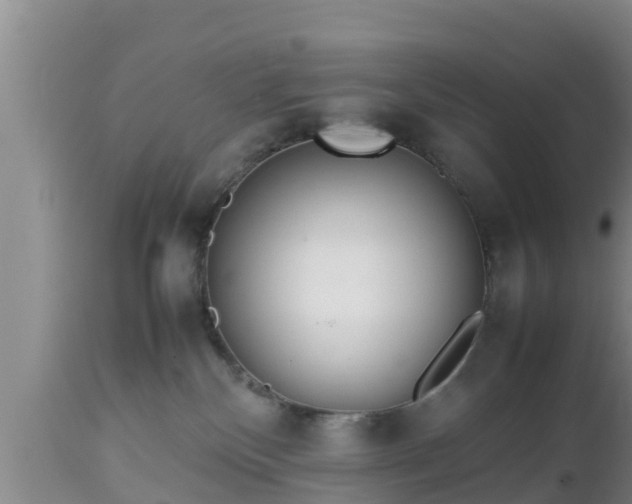 X0000112810136200908281516