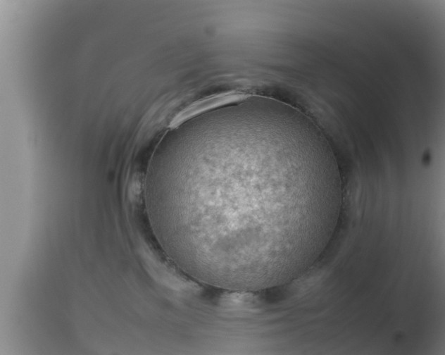 X0000112810137200908281516