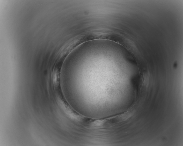 X0000112810138200908281516