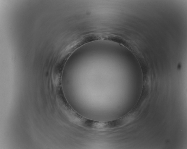 X0000112810139200908281516