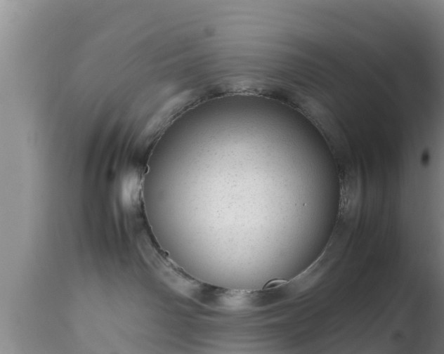 X0000112810142200908281516