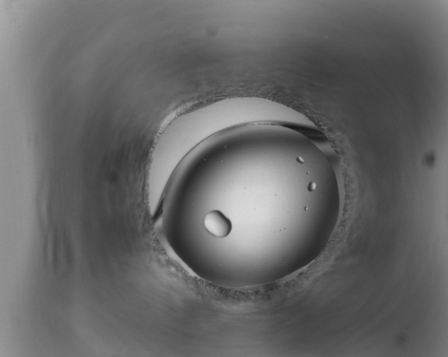 X0000112810144200908281515