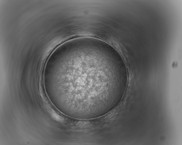 X0000112810145200908281515