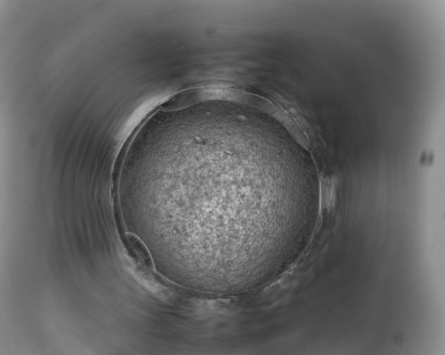 X0000112810147200908281515