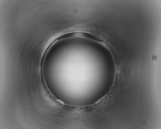 X0000112810148200908281515