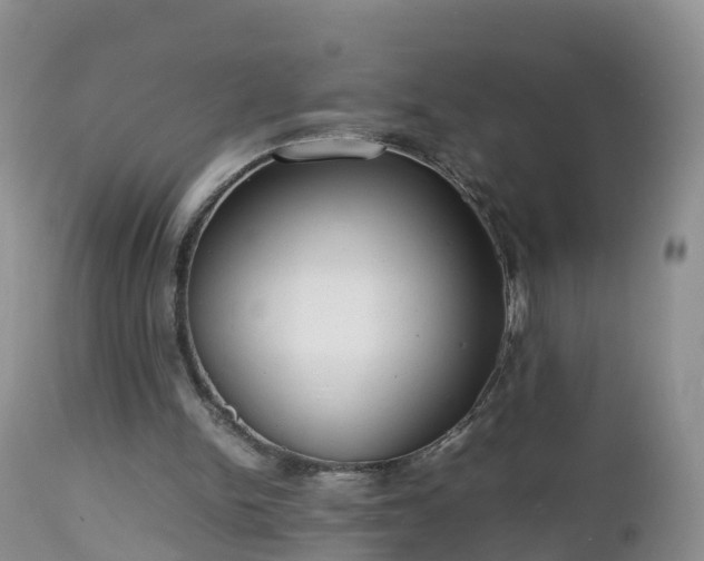 X0000112810150200908281515
