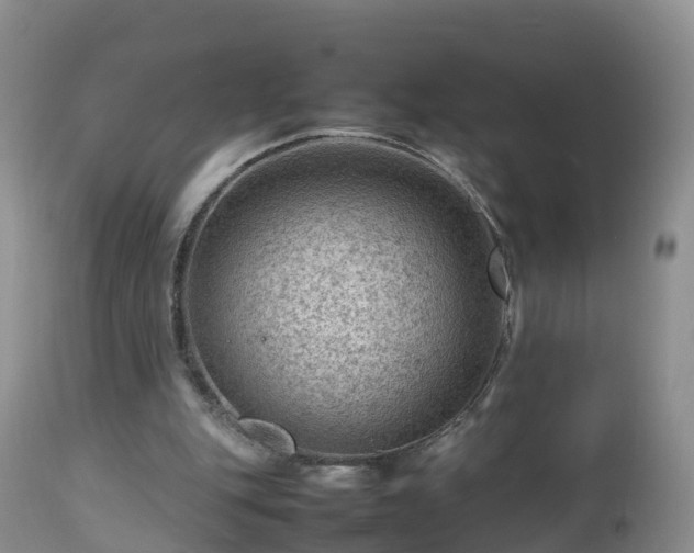 X0000112810151200908281515