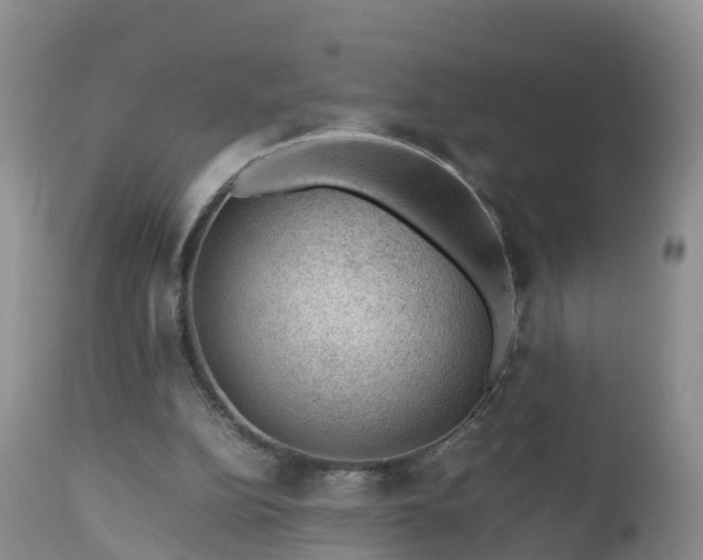 X0000112810152200908281515