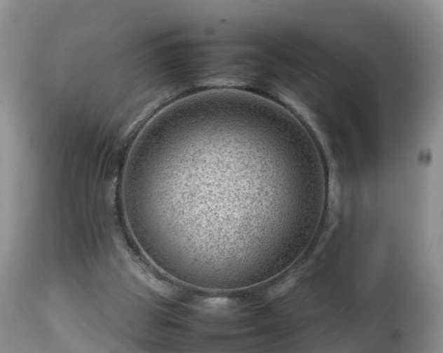 X0000112810153200908281515