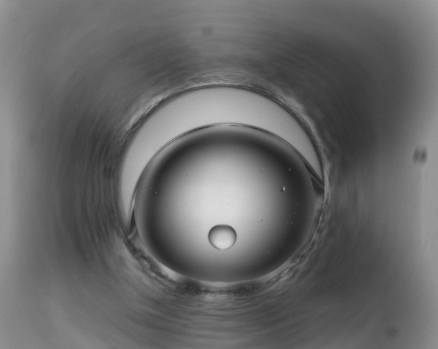 X0000112810154200908281515