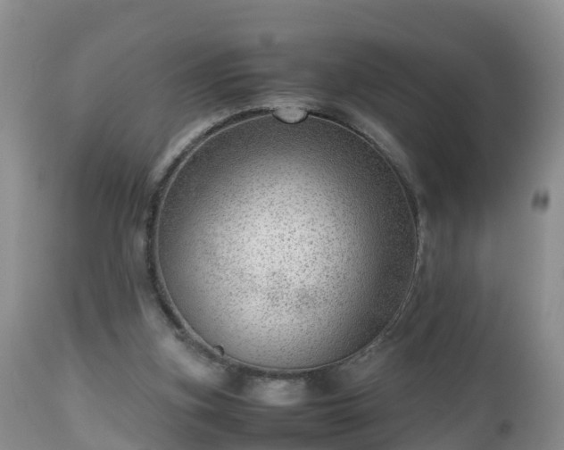 X0000112810155200908281515