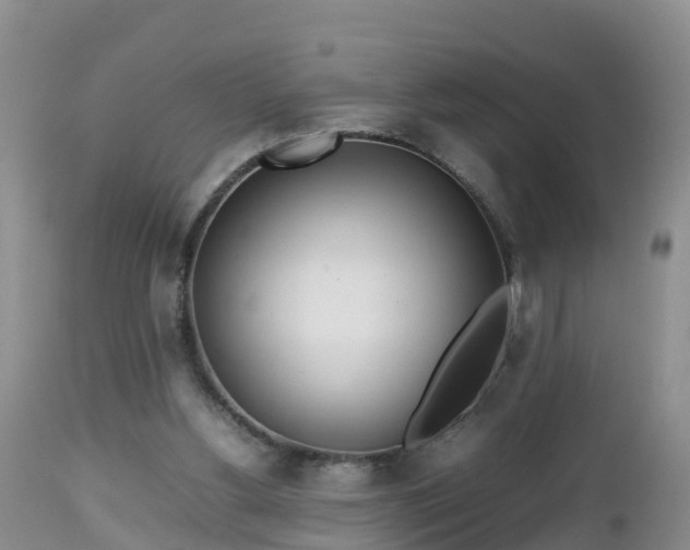 X0000112810156200908281515