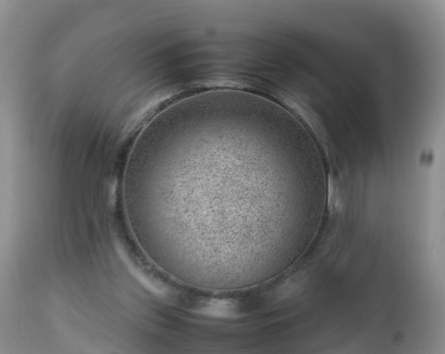 X0000112810157200908281515