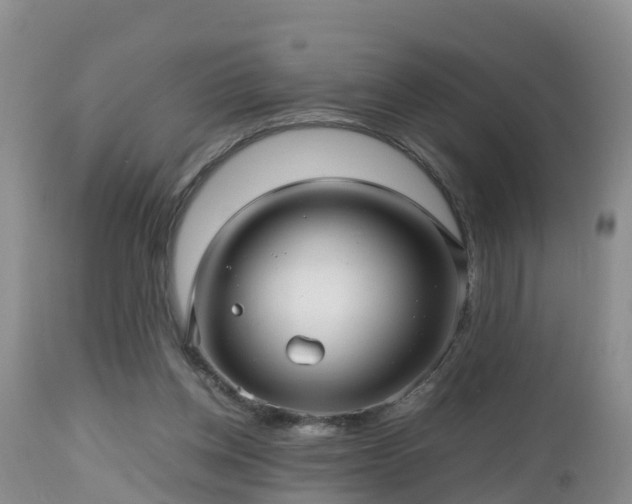 X0000112810158200908281515