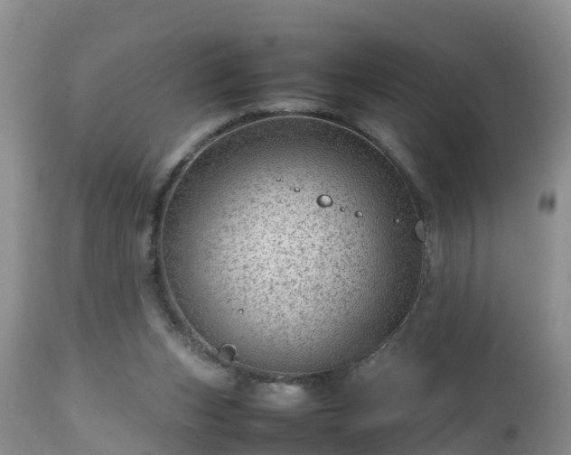 X0000112810159200908281515