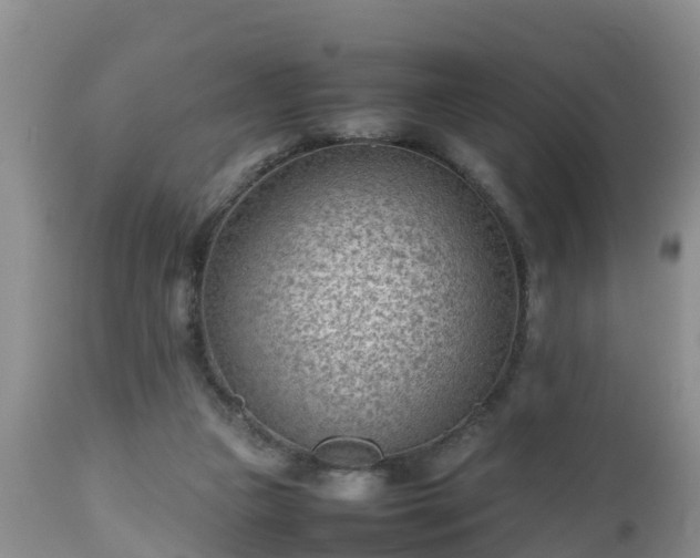 X0000112810161200908281515