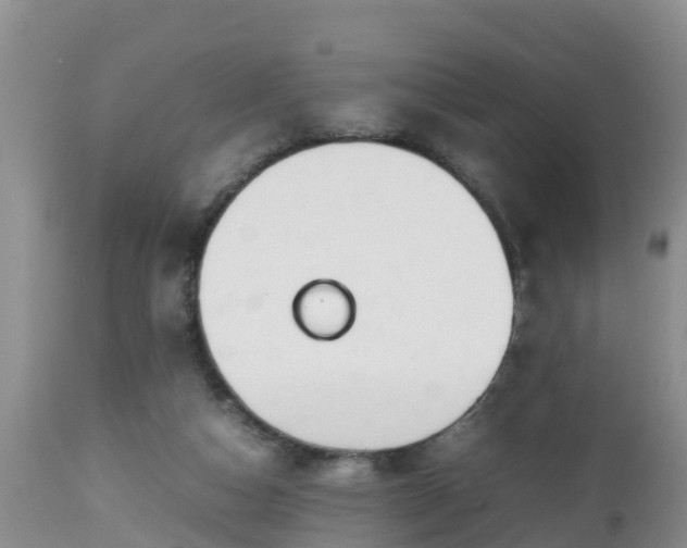 X0000112810162200908281515