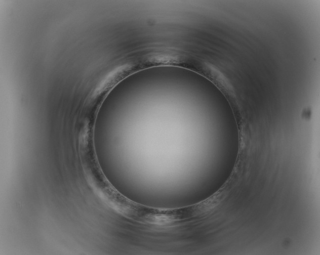X0000112810163200908281515