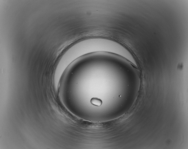 X0000112810164200908281515