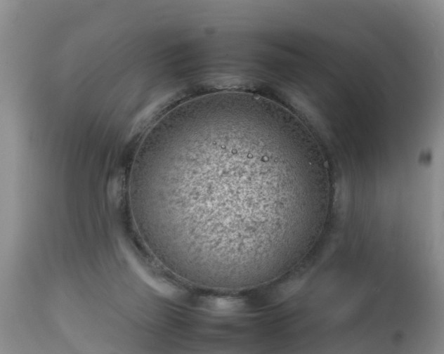 X0000112810165200908281515