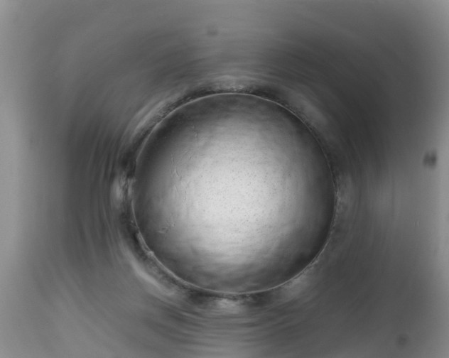 X0000112810166200908281515
