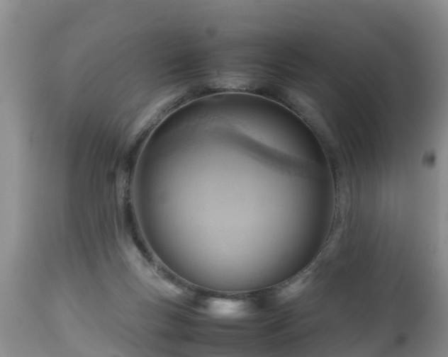 X0000112810167200908281515
