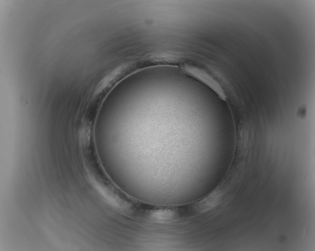 X0000112810168200908281515