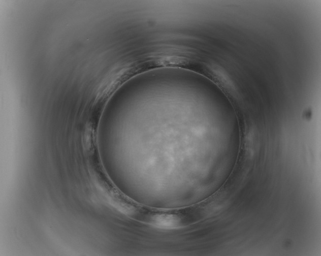 X0000112810169200908281515