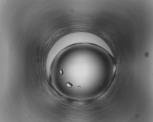 X0000112810170200908281515