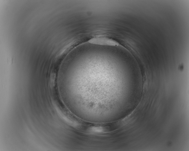 X0000112810171200908281515