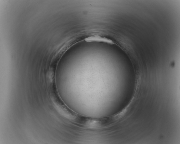 X0000112810174200908281515