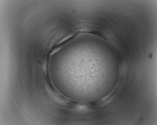 X0000112810175200908281515