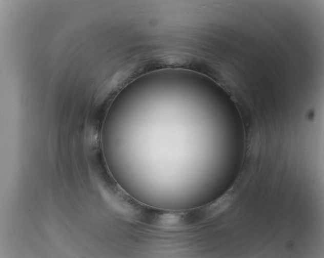 X0000112810176200908281515
