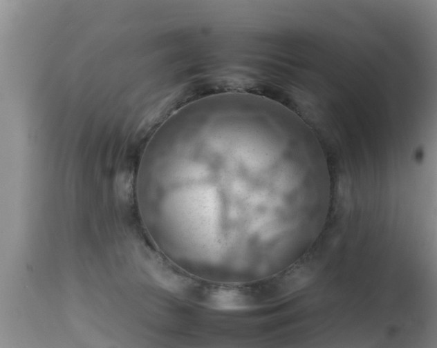 X0000112810177200908281515
